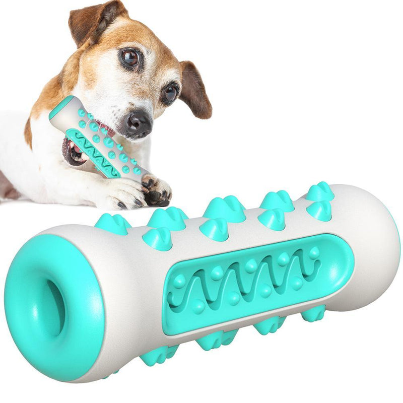 Limpador de Dentes para Cães- Dogs Clean - Dia dia de Mulher